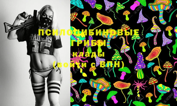 сатива Арсеньев